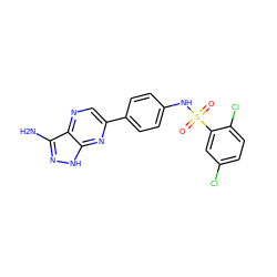 Nc1n[nH]c2nc(-c3ccc(NS(=O)(=O)c4cc(Cl)ccc4Cl)cc3)cnc12 ZINC000103256103