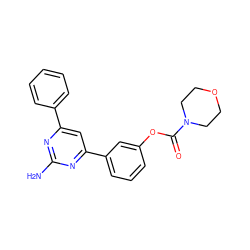 Nc1nc(-c2ccccc2)cc(-c2cccc(OC(=O)N3CCOCC3)c2)n1 ZINC000653773269