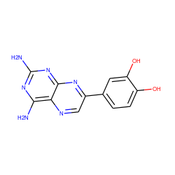 Nc1nc(N)c2ncc(-c3ccc(O)c(O)c3)nc2n1 ZINC000028711089