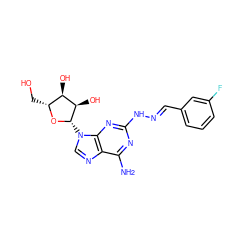 Nc1nc(N/N=C/c2cccc(F)c2)nc2c1ncn2[C@@H]1O[C@H](CO)[C@@H](O)[C@H]1O ZINC000012405489