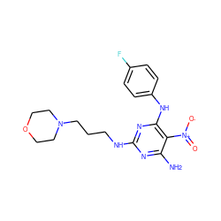 Nc1nc(NCCCN2CCOCC2)nc(Nc2ccc(F)cc2)c1[N+](=O)[O-] ZINC000020289602