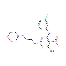 Nc1nc(NCCCN2CCOCC2)nc(Nc2cccc(F)c2)c1[N+](=O)[O-] ZINC000020325654