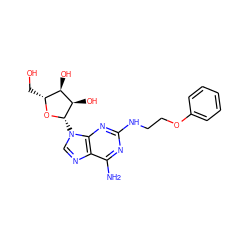 Nc1nc(NCCOc2ccccc2)nc2c1ncn2[C@@H]1O[C@H](CO)[C@@H](O)[C@H]1O ZINC000013823861