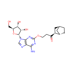 Nc1nc(OCCC(=O)[C@H]2C[C@H]3CC[C@H]2C3)nc2c1ncn2[C@@H]1O[C@@H](CO)[C@H](O)[C@@H]1O ZINC000169340947