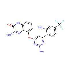 Nc1nc(Oc2cccc3[nH]c(=O)c(N)nc23)cc(-c2ccc(C(F)(F)F)cc2N)n1 ZINC000040894811