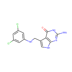 Nc1nc2[nH]cc(CNc3cc(Cl)cc(Cl)c3)c2c(=O)[nH]1 ZINC000013863051