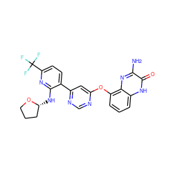 Nc1nc2c(Oc3cc(-c4ccc(C(F)(F)F)nc4N[C@@H]4CCCO4)ncn3)cccc2[nH]c1=O ZINC000040891586