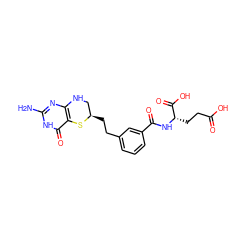 Nc1nc2c(c(=O)[nH]1)S[C@H](CCc1cccc(C(=O)N[C@@H](CCC(=O)O)C(=O)O)c1)CN2 ZINC000008536420