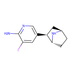 Nc1ncc([C@H]2C[C@H]3CC[C@H]2N3)cc1I ZINC000100047902