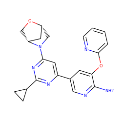 Nc1ncc(-c2cc(N3C[C@@H]4C[C@H]3CO4)nc(C3CC3)n2)cc1Oc1ccccn1 ZINC000653667739