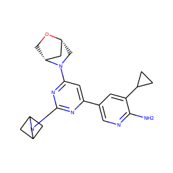 Nc1ncc(-c2cc(N3C[C@@H]4C[C@H]3CO4)nc(N3CC4CC3C4)n2)cc1C1CC1 ZINC000221217346