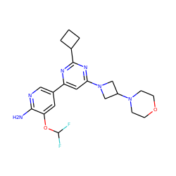 Nc1ncc(-c2cc(N3CC(N4CCOCC4)C3)nc(C3CCC3)n2)cc1OC(F)F ZINC000653682395