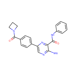 Nc1ncc(-c2ccc(C(=O)N3CCC3)cc2)nc1C(=O)Nc1ccccc1 ZINC000071317285