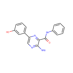 Nc1ncc(-c2cccc(O)c2)nc1C(=O)Nc1ccccc1 ZINC000071316876