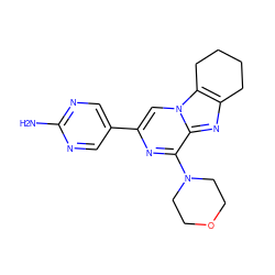 Nc1ncc(-c2cn3c4c(nc3c(N3CCOCC3)n2)CCCC4)cn1 ZINC000147995575