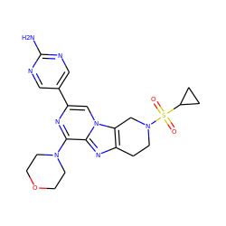 Nc1ncc(-c2cn3c4c(nc3c(N3CCOCC3)n2)CCN(S(=O)(=O)C2CC2)C4)cn1 ZINC000198533352