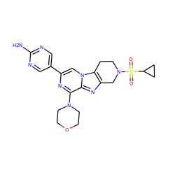 Nc1ncc(-c2cn3c4c(nc3c(N3CCOCC3)n2)CN(S(=O)(=O)C2CC2)CC4)cn1 ZINC001772570686