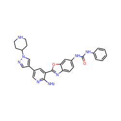 Nc1ncc(-c2cnn(C3CCNCC3)c2)cc1-c1nc2ccc(NC(=O)Nc3ccccc3)cc2o1 ZINC000084652468