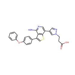 Nc1ncc(-c2cnn(CCC(=O)O)c2)c2scc(-c3ccc(Oc4ccccc4)cc3)c12 ZINC000473113737