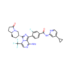 Nc1ncc(C(F)(F)F)n2c([C@@H]3CC[C@H]4CCC(=O)N4C3)nc(-c3ccc(C(=O)Nc4cc(C5CC5)ccn4)cc3F)c12 ZINC000145628335