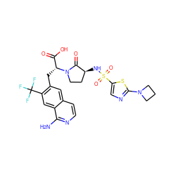 Nc1nccc2cc(C[C@H](C(=O)O)N3CC[C@H](NS(=O)(=O)c4cnc(N5CCC5)s4)C3=O)c(C(F)(F)F)cc12 ZINC000142596966