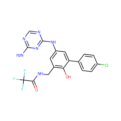 Nc1ncnc(Nc2cc(CNC(=O)C(F)(F)F)c(O)c(-c3ccc(Cl)cc3)c2)n1 ZINC000063298107