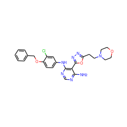 Nc1ncnc(Nc2ccc(OCc3ccccc3)c(Cl)c2)c1-c1nnc(CCN2CCOCC2)o1 ZINC000040899308