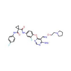 Nc1ncnc(Oc2ccc(NC(=O)C3(C(=O)Nc4ccc(F)cc4)CC3)cc2F)c1/C=N/OCCN1CCCC1 ZINC000205432933