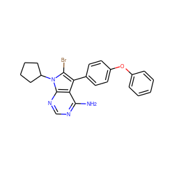 Nc1ncnc2c1c(-c1ccc(Oc3ccccc3)cc1)c(Br)n2C1CCCC1 ZINC000026265457