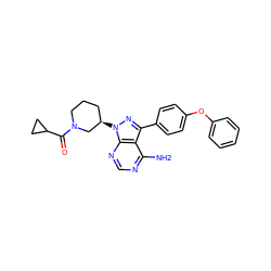 Nc1ncnc2c1c(-c1ccc(Oc3ccccc3)cc1)nn2[C@@H]1CCCN(C(=O)C2CC2)C1 ZINC000653781579