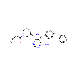 Nc1ncnc2c1c(-c1ccc(Oc3ccccc3)cc1)nn2[C@@H]1CCCN(C(=O)CC2CC2)C1 ZINC000653781599