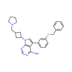 Nc1ncnc2c1c(-c1cccc(OCc3ccccc3)c1)cn2C1CC(CN2CCCC2)C1 ZINC000003963017