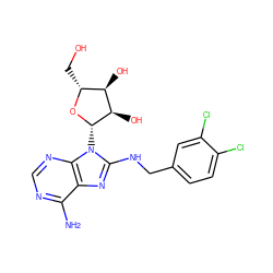 Nc1ncnc2c1nc(NCc1ccc(Cl)c(Cl)c1)n2[C@@H]1O[C@H](CO)[C@@H](O)[C@H]1O ZINC000040913495