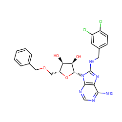 Nc1ncnc2c1nc(NCc1ccc(Cl)c(Cl)c1)n2[C@@H]1O[C@H](COCc2ccccc2)[C@@H](O)[C@H]1O ZINC000042963655