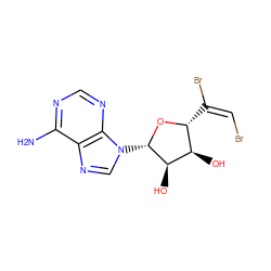 Nc1ncnc2c1ncn2[C@@H]1O[C@H](/C(Br)=C\Br)[C@@H](O)[C@H]1O ZINC000013780676