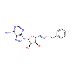 Nc1ncnc2c1ncn2[C@@H]1O[C@H](/C=N/OCc2ccccc2)[C@@H](O)[C@H]1O ZINC000013762058