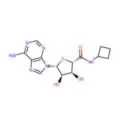 Nc1ncnc2c1ncn2[C@@H]1O[C@H](C(=O)NC2CCC2)[C@@H](O)[C@H]1O ZINC000013796774