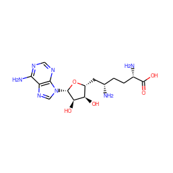 Nc1ncnc2c1ncn2[C@@H]1O[C@H](C[C@@H](N)CC[C@H](N)C(=O)O)[C@@H](O)[C@H]1O ZINC000004217451