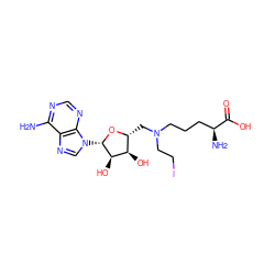 Nc1ncnc2c1ncn2[C@@H]1O[C@H](CN(CCI)CCC[C@H](N)C(=O)O)[C@@H](O)[C@H]1O ZINC000103295987