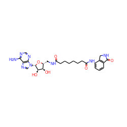 Nc1ncnc2c1ncn2[C@@H]1O[C@H](CNC(=O)CCCCCCC(=O)Nc2cccc3c2CNC3=O)[C@@H](O)[C@H]1O ZINC000049774299