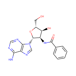 Nc1ncnc2c1ncn2[C@@H]1O[C@H](CO)[C@@H](O)[C@H]1NC(=O)c1ccccc1 ZINC000013738937