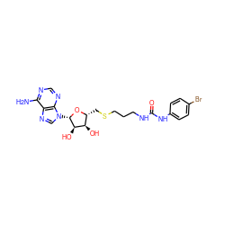 Nc1ncnc2c1ncn2[C@@H]1O[C@H](CSCCCNC(=O)Nc2ccc(Br)cc2)[C@@H](O)[C@H]1O ZINC000095553440