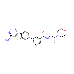 Nc1ncnc2c1sc1cc(-c3cccc(C(=O)NCC(=O)N4CCOCC4)c3)ccc12 ZINC000203679454