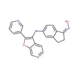 O/N=C1/CCc2cc(Nc3c(-c4cccnc4)oc4cnccc34)ccc21 ZINC000102820990