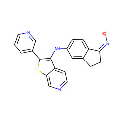 O/N=C1/CCc2cc(Nc3c(-c4cccnc4)sc4cnccc34)ccc21 ZINC000102824077