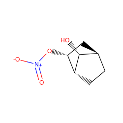 O=[N+]([O-])O[C@@H]1C[C@H]2CC[C@H]1[C@@H]2O ZINC000101340648