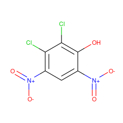 O=[N+]([O-])c1cc([N+](=O)[O-])c(Cl)c(Cl)c1O ZINC000071783042