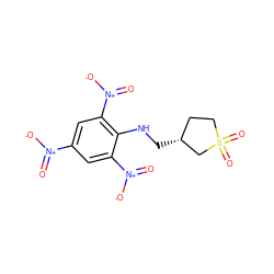 O=[N+]([O-])c1cc([N+](=O)[O-])c(NC[C@@H]2CCS(=O)(=O)C2)c([N+](=O)[O-])c1 ZINC000017413799