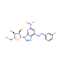 O=[N+]([O-])c1cc(NCc2cccc(I)c2)c2ncn([C@@H]3O[C@H](CO)[C@@H](O)[C@H]3O)c2n1 ZINC000049775385