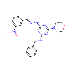 O=[N+]([O-])c1cccc(/C=N/Nc2nc(NCc3ccccc3)nc(N3CCOCC3)n2)c1 ZINC000008427416